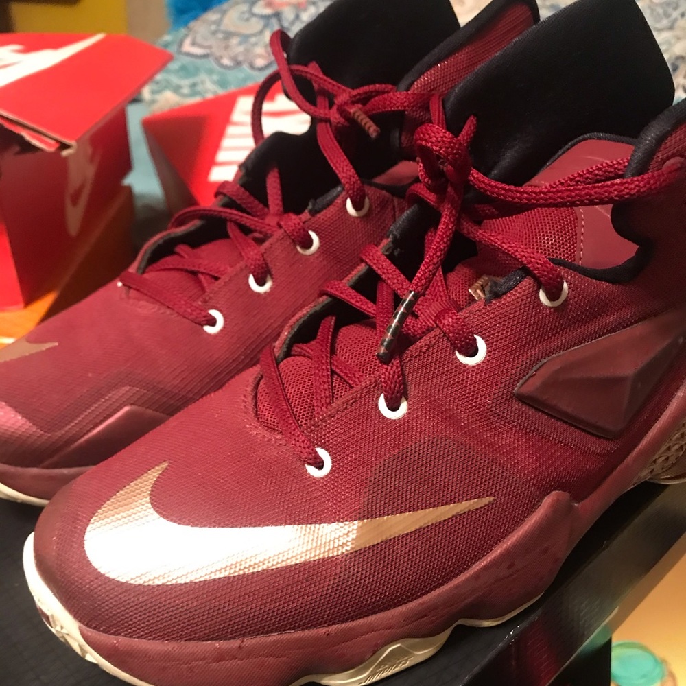 Nike Lebron James Sneakers (USED)